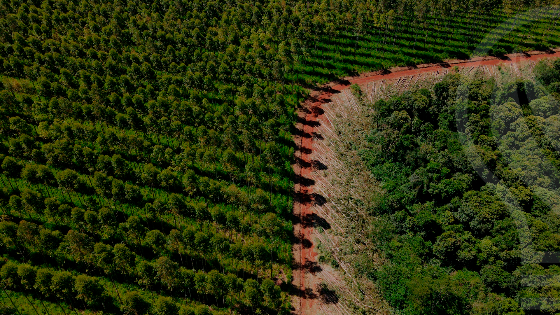 Banner principal ema group